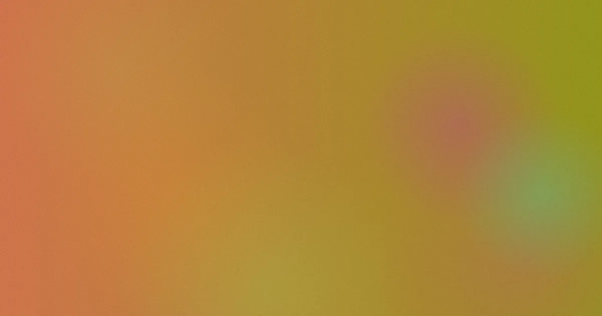 看视频怎么用：我的实测法